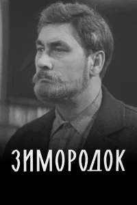 Зимородок бесплатно